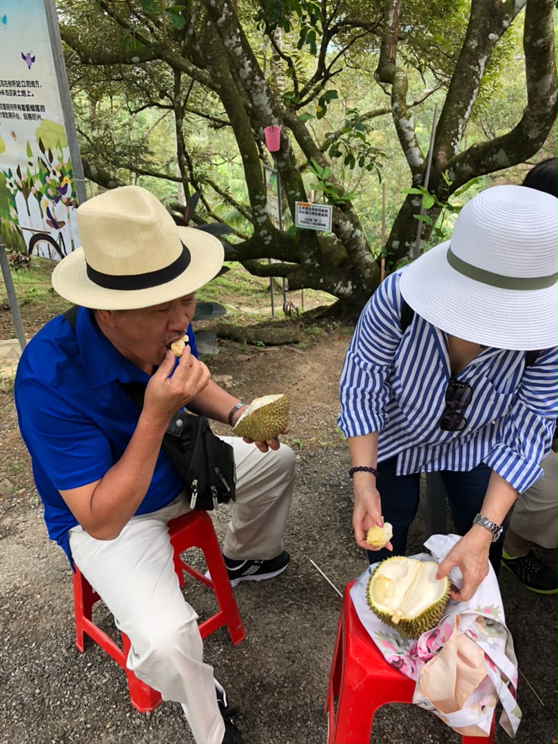 Guests tasting durian beneath orchard trees
